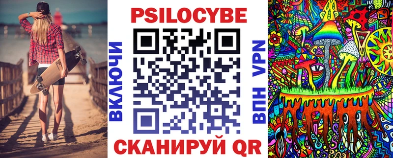 закладка  Динская  Галлюциногенные грибы Psilocybe 